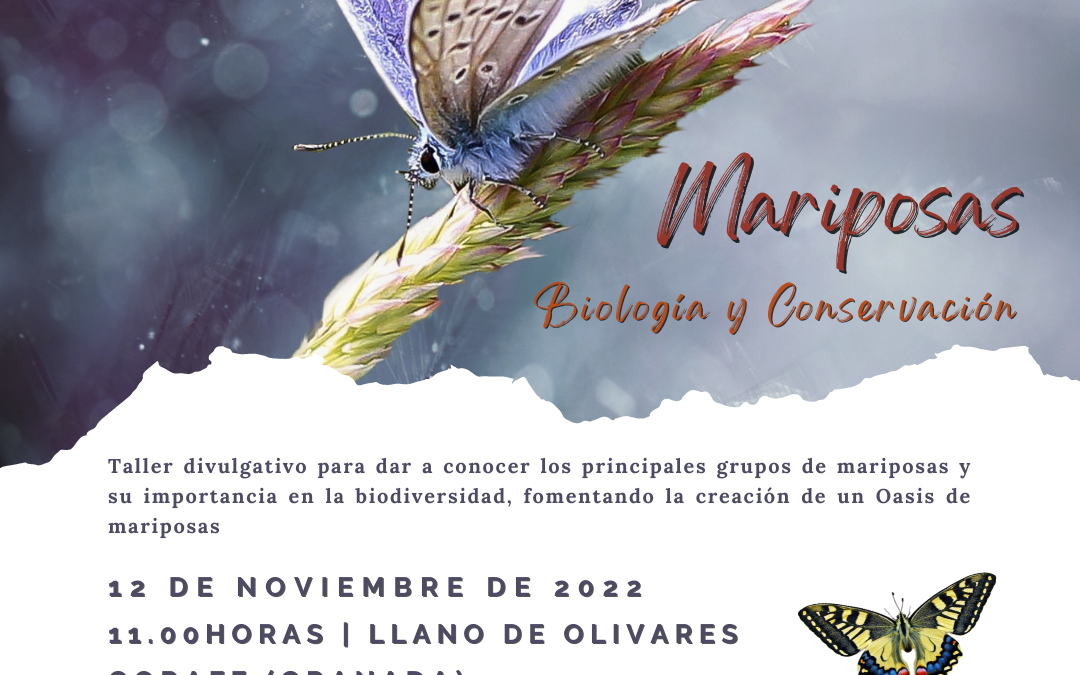 Taller – Mariposas: biología y conservación