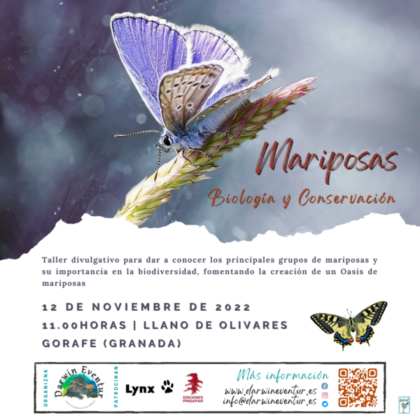 Cartel Taller Mariposas