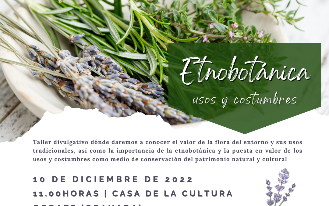 Taller – Etnobotánica: usos y costumbres