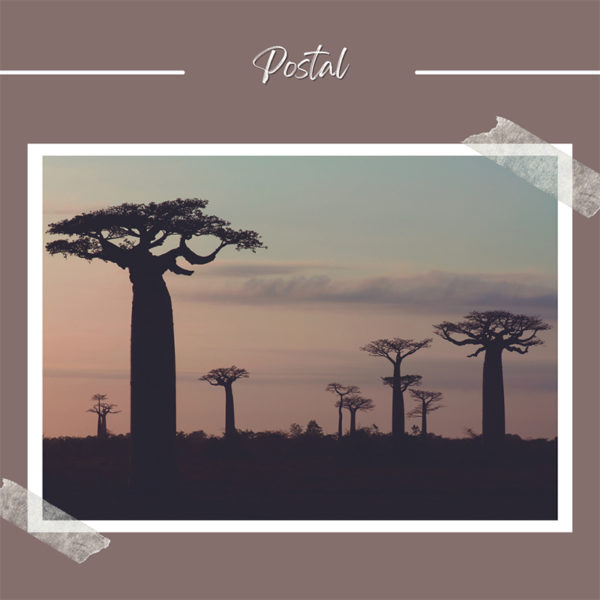 Postal Avenida de los Baobabs en Madagascar