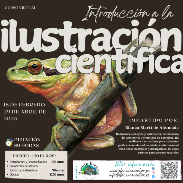 Cartel del curso Introducción a la Ilustración Científica