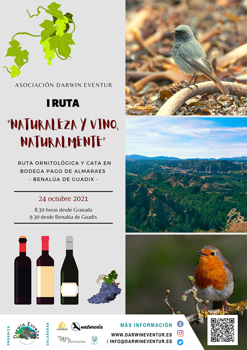 CARTEL_NATURAVINO21_I