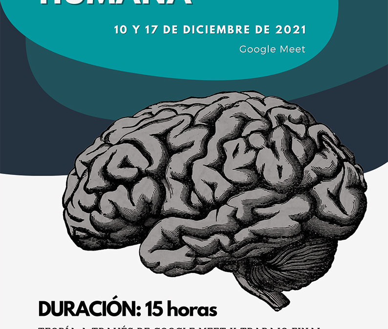 II Jornadas Divulgativas: Neurobiología Humana