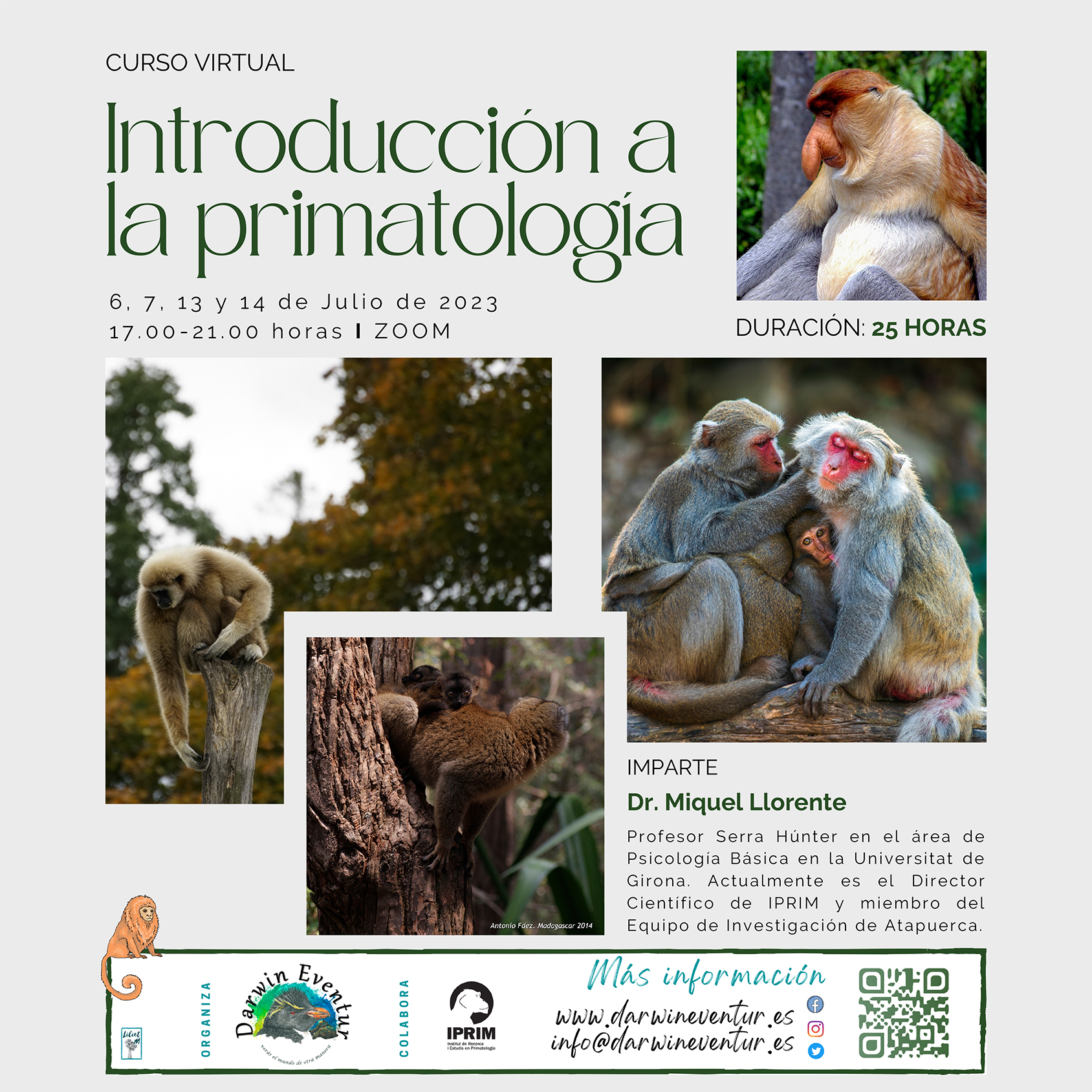 Cartel Primatología