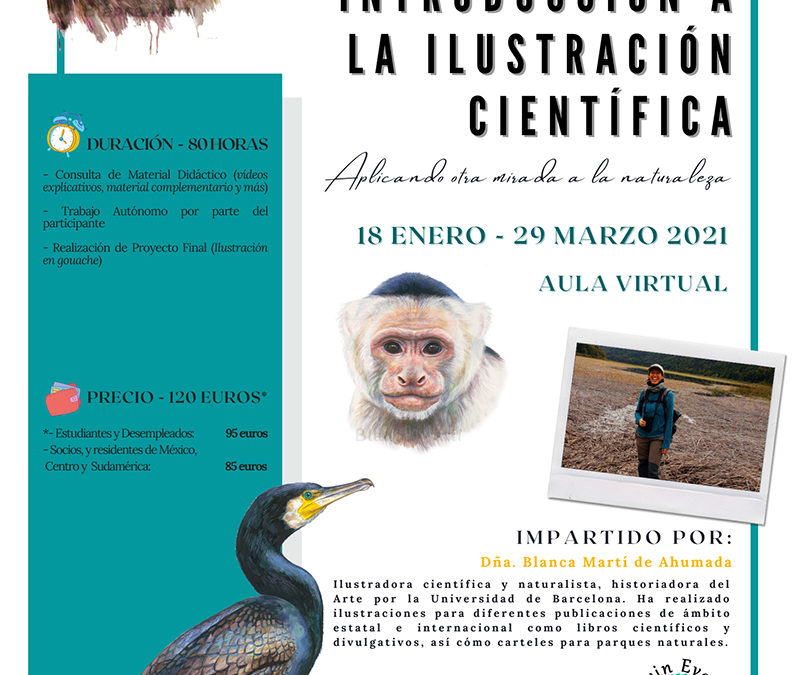 Introducción a la Ilustración Científica