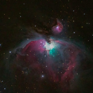 Mariposas nocturnas y estrellas