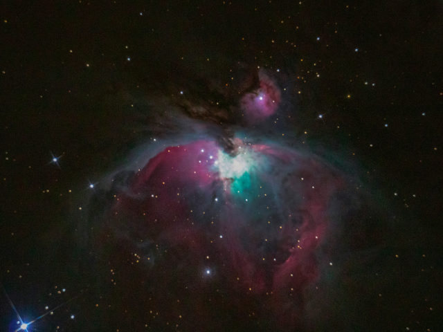 Mariposas nocturnas y estrellas