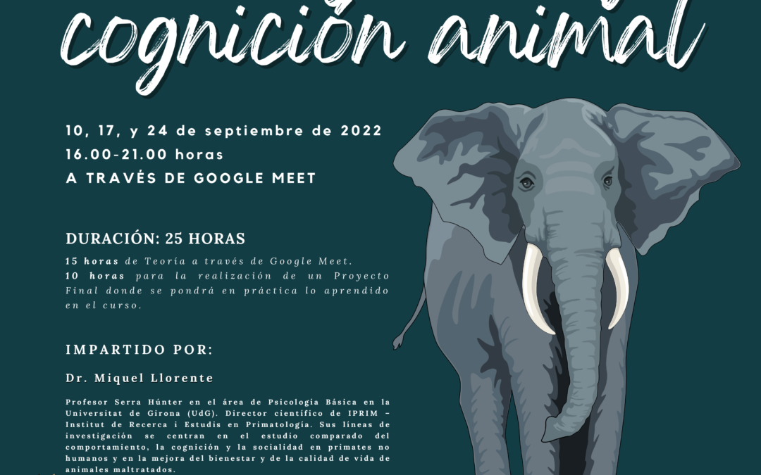 Inteligencia y cognición animal