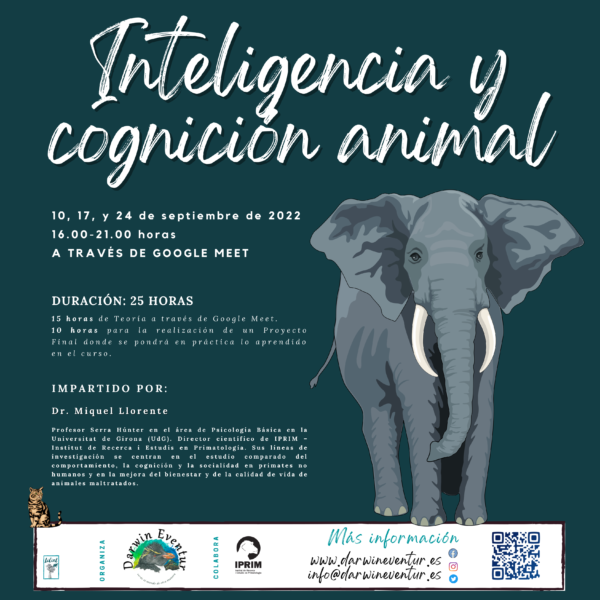 Inteligencia y cognición animal