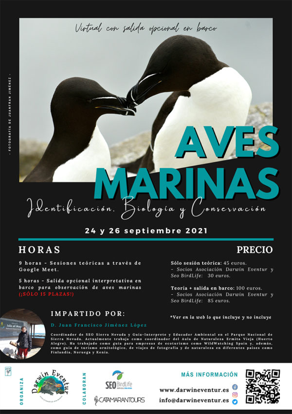 Aves marinas: identificación, biología y conservación