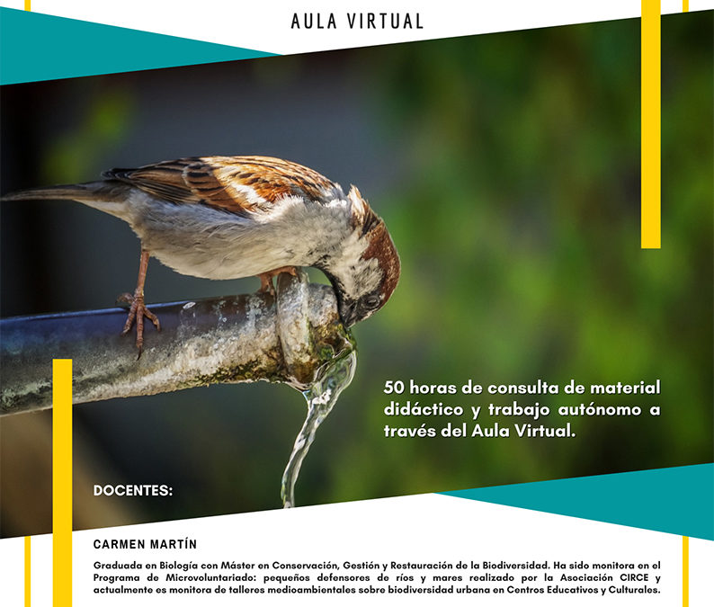 Biodiversidad Urbana: fauna, flora, y ecología