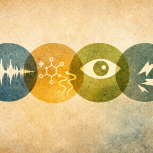 imagen para el curso Descifrando la comunicación animal