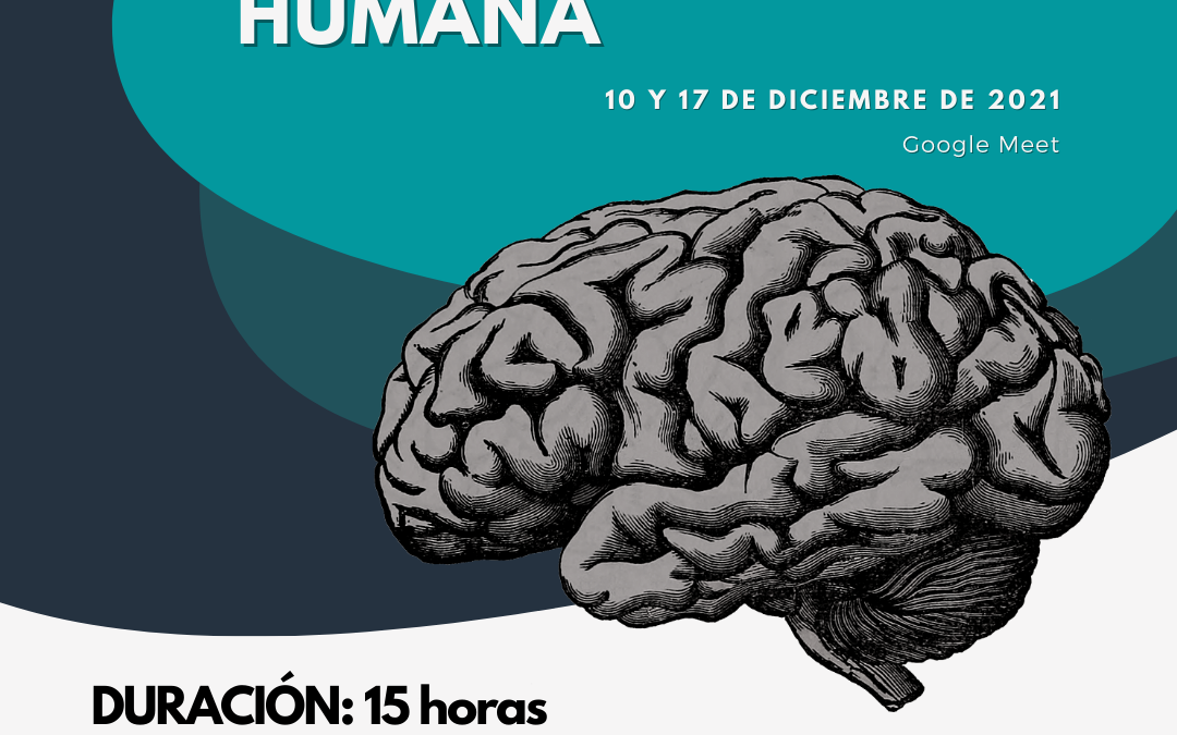 II Jornadas Divulgativas: Neurobiología Humana